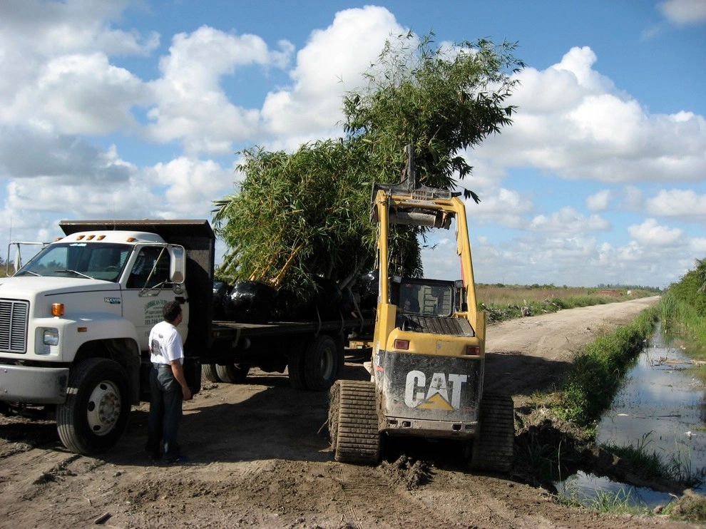 Miami Garden Design and Installation by Knoll Landscape Design Miami - Photo 6