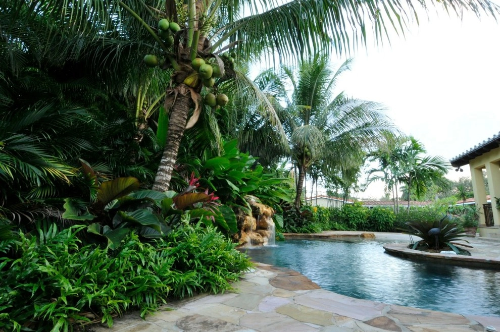 Tropical Landscape Design Miami by Knoll Landscape Design Miami - Photo 25