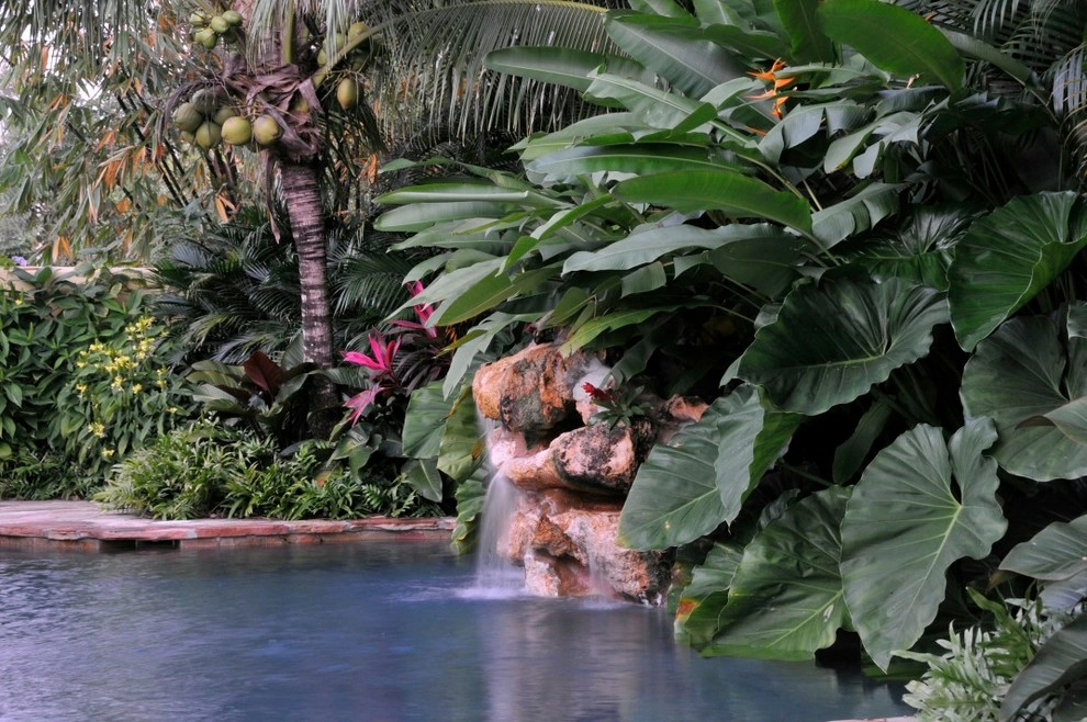 Tropical Landscape Design Miami by Knoll Landscape Design Miami - Photo 45