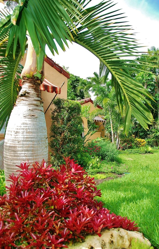 Tropical Landscape Design Miami by Knoll Landscape Design Miami - Photo 18