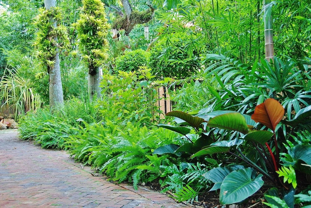 Tropical Landscape Design Miami by Knoll Landscape Design Miami - Photo 2