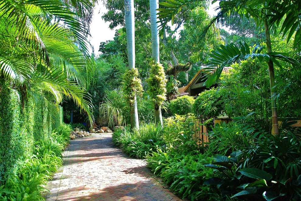 Tropical Landscape Design Miami by Knoll Landscape Design Miami - Photo 31