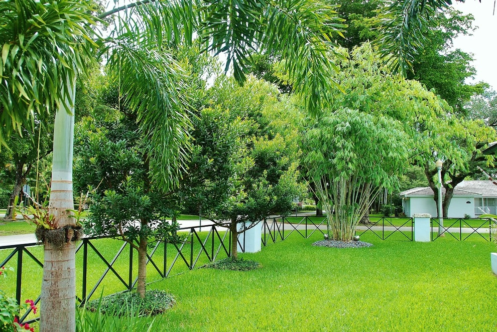 Tropical Landscape Design Miami by Knoll Landscape Design Miami - Photo 46