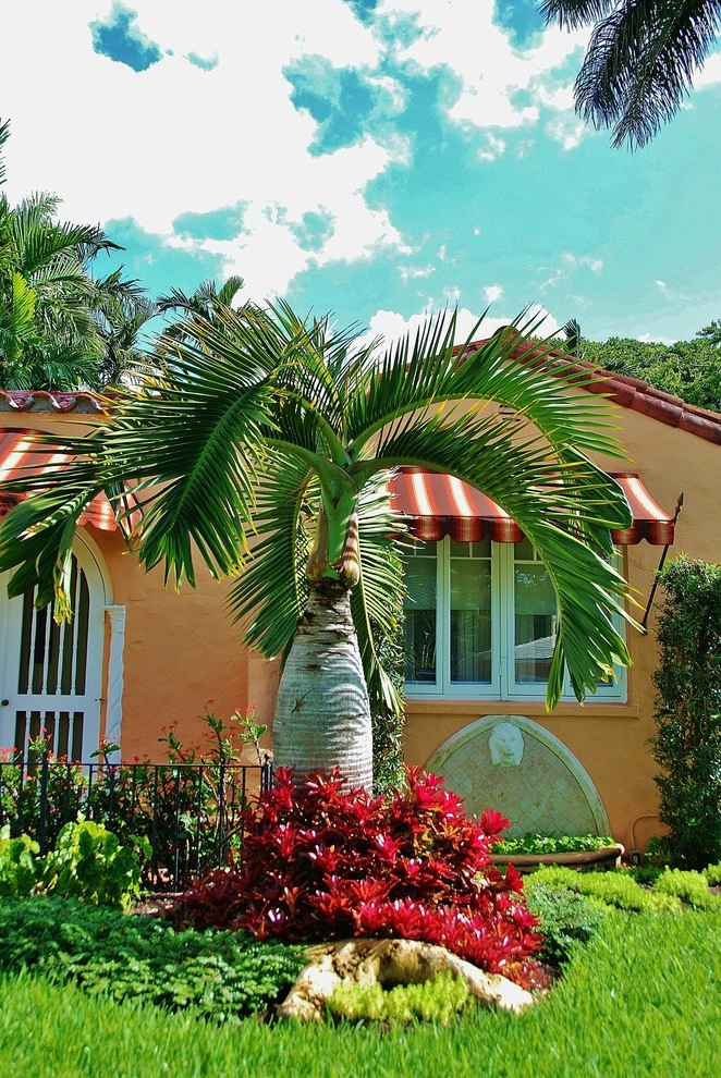 Tropical Landscape Design Miami by Knoll Landscape Design Miami - Photo 17