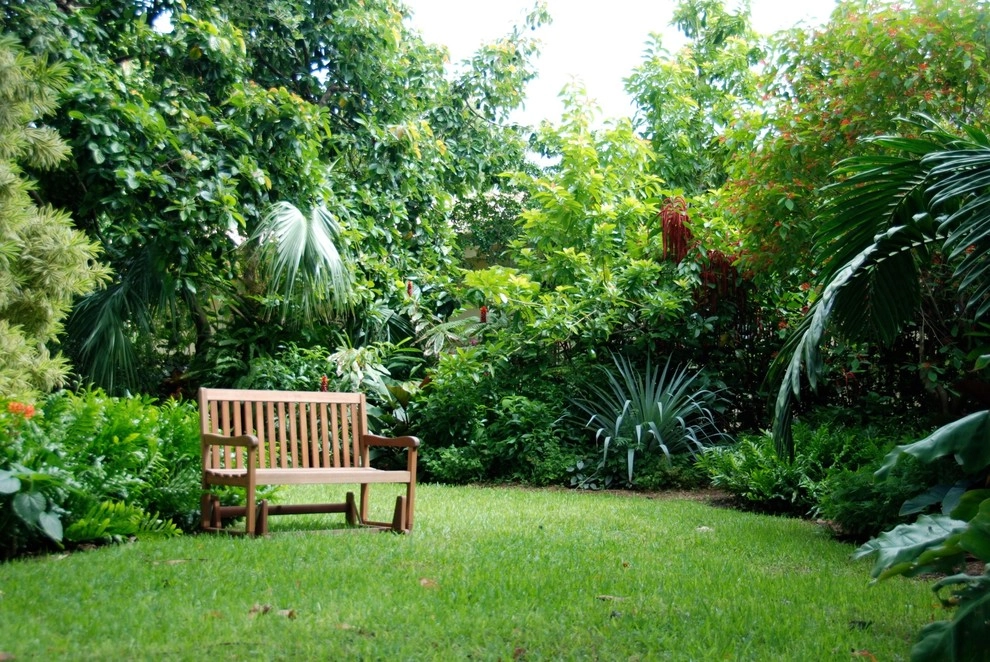 Miami Landscape Design Ideas by Knoll Landscape Design Miami - Photo 44