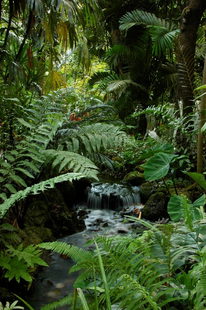 Miami Landscape Design Ideas by Knoll Landscape Design Miami - Photo 82