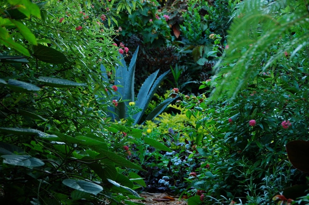 Miami Landscape Design Ideas by Knoll Landscape Design Miami - Photo 27