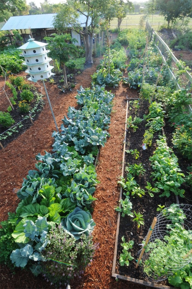Miami Landscape Design Ideas by Knoll Landscape Design Miami - Photo 53