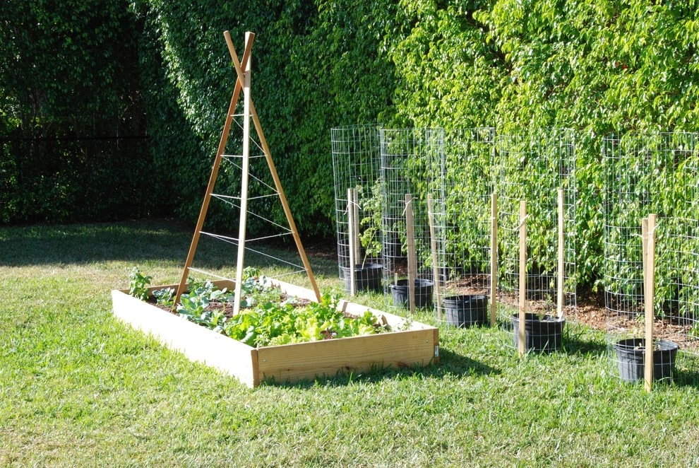 Raised Bed Garden Miami Landscape Design by Knoll Landscape Design Miami - Photo 3