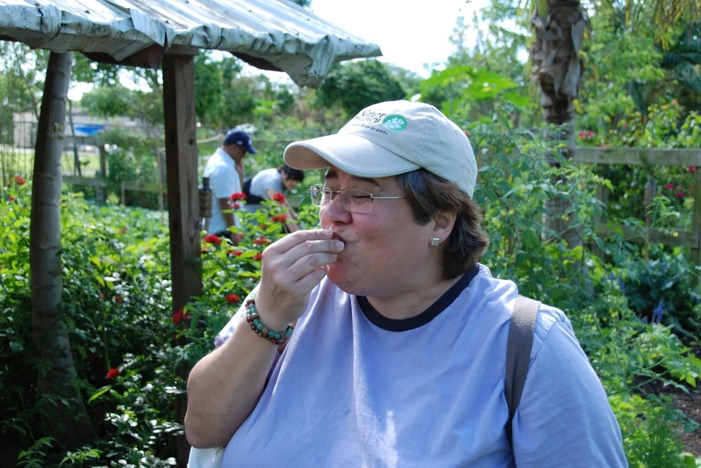 Edible Landscape Design Miami by Knoll Landscape Design Miami - Photo 21