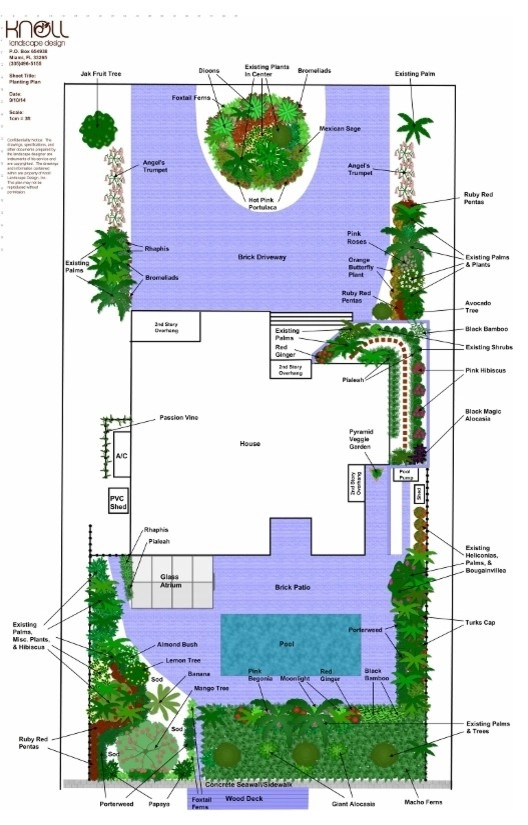 Our CAD Designs by Knoll Landscape Design Miami - Photo 3
