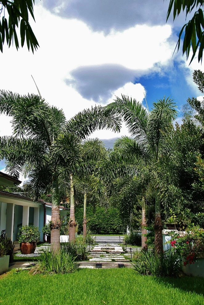 Tropical Landscape Design Miami by Knoll Landscape Design Miami - Photo 26