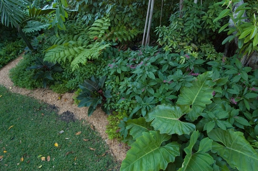 Miami Landscape Design Ideas by Knoll Landscape Design Miami - Photo 34