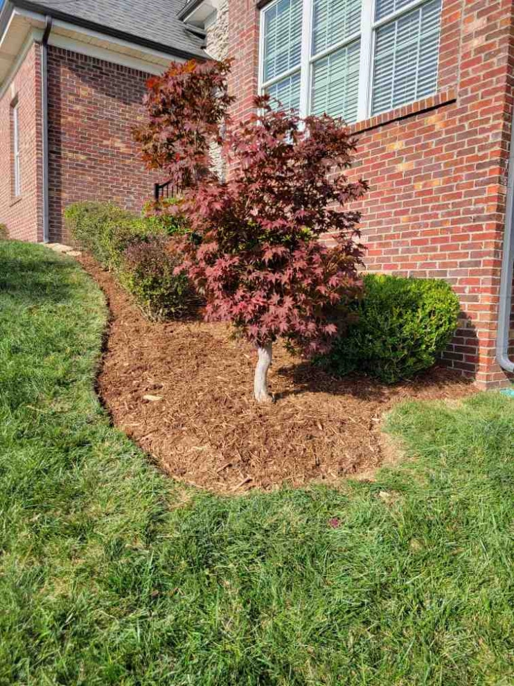 Alberto Alavez Professional Lawn Services LLC 6 by Alberto Alavez Professional Lawn Services LLC - Photo 10