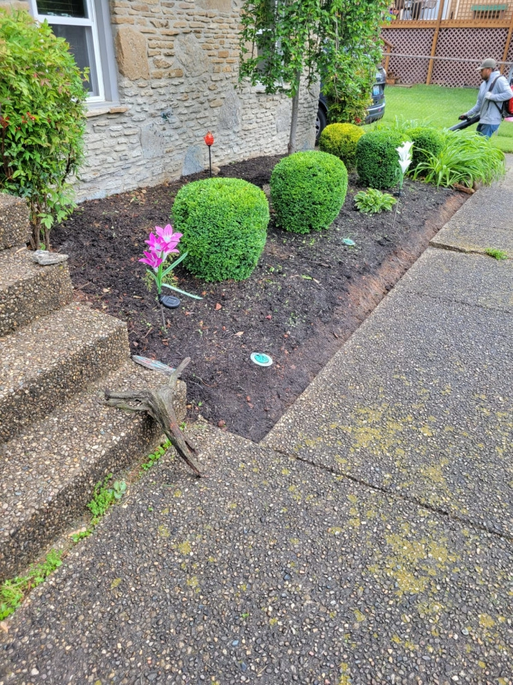 Alberto Alavez Professional Lawn Services LLC 17 by Alberto Alavez Professional Lawn Services LLC - Photo 13