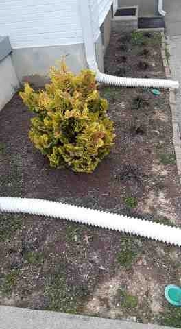 Alberto Alavez Professional Lawn Services LLC 5 by Alberto Alavez Professional Lawn Services LLC - Photo 28