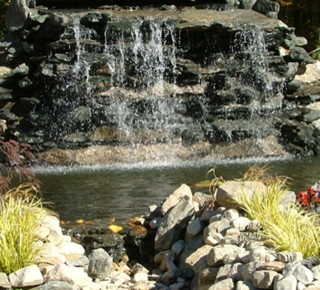 A beautiful creation & healthy koi pond by Koi Villa Water Garden Center - Photo 9