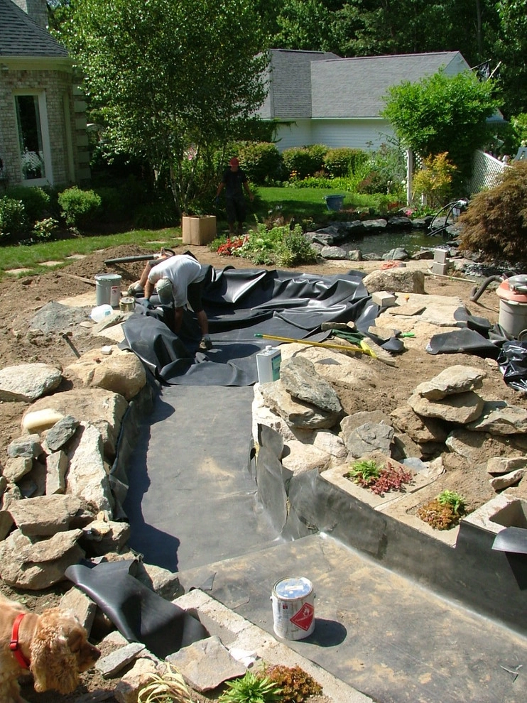 A beautiful creation & healthy koi pond by Koi Villa Water Garden Center - Photo 6