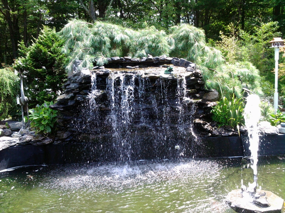 Koi Villa Water Garden Center - Photo 4