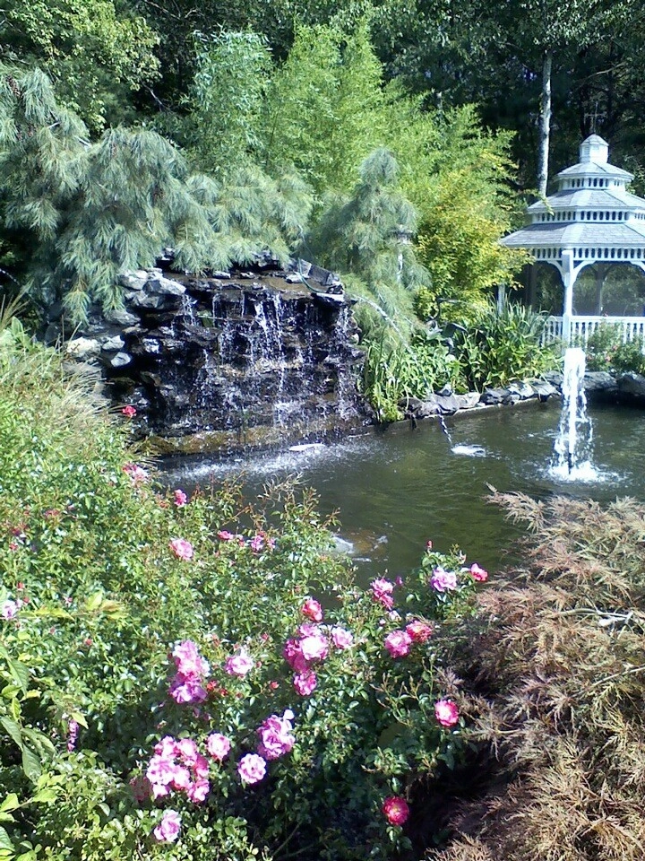 A beautiful creation & healthy koi pond by Koi Villa Water Garden Center - Photo 31