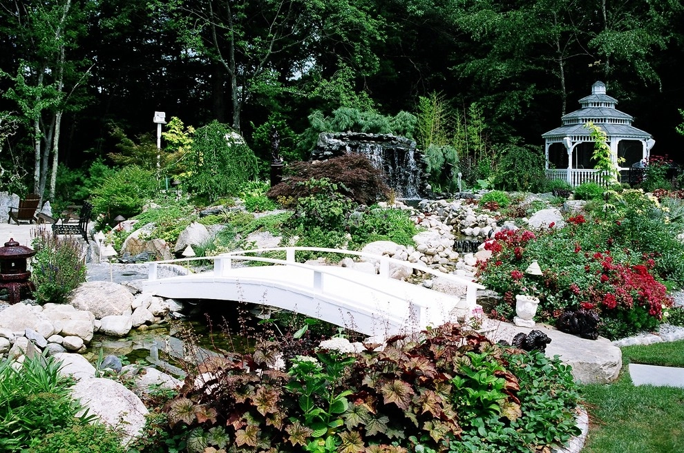 A beautiful creation & healthy koi pond by Koi Villa Water Garden Center - Photo 11