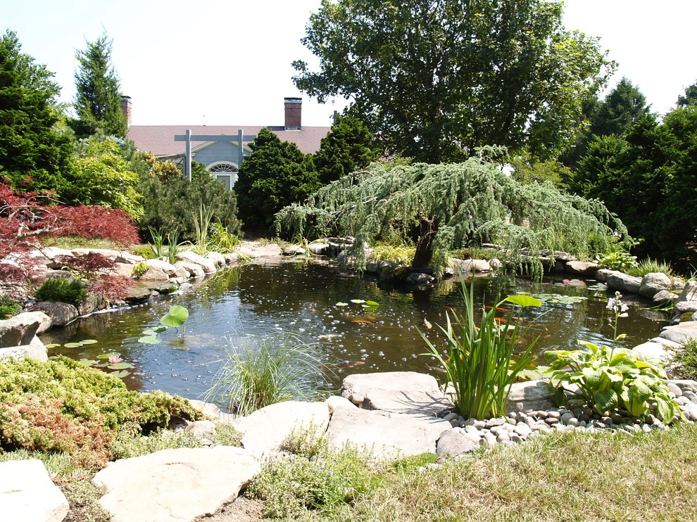 Manchester By the Sea by Koi Villa Water Garden Center - Photo 5