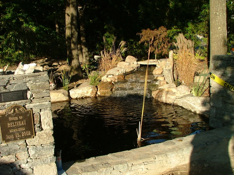 Main driveway with koi ponds on both sides . by Koi Villa Water Garden Center - Photo 2