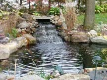 Main driveway with koi ponds on both sides . by Koi Villa Water Garden Center - Photo 4