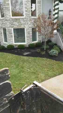 Alberto Alavez Professional Lawn Services LLC 5 by Alberto Alavez Professional Lawn Services LLC - Photo 20