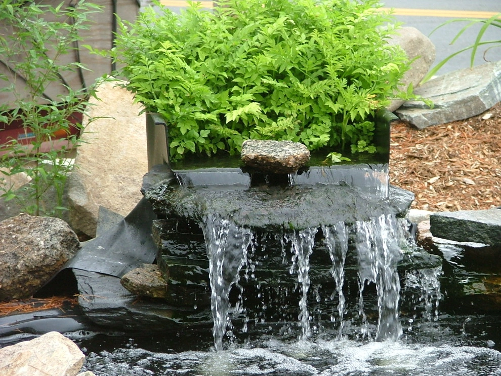 Manchester By the Sea by Koi Villa Water Garden Center - Photo 9