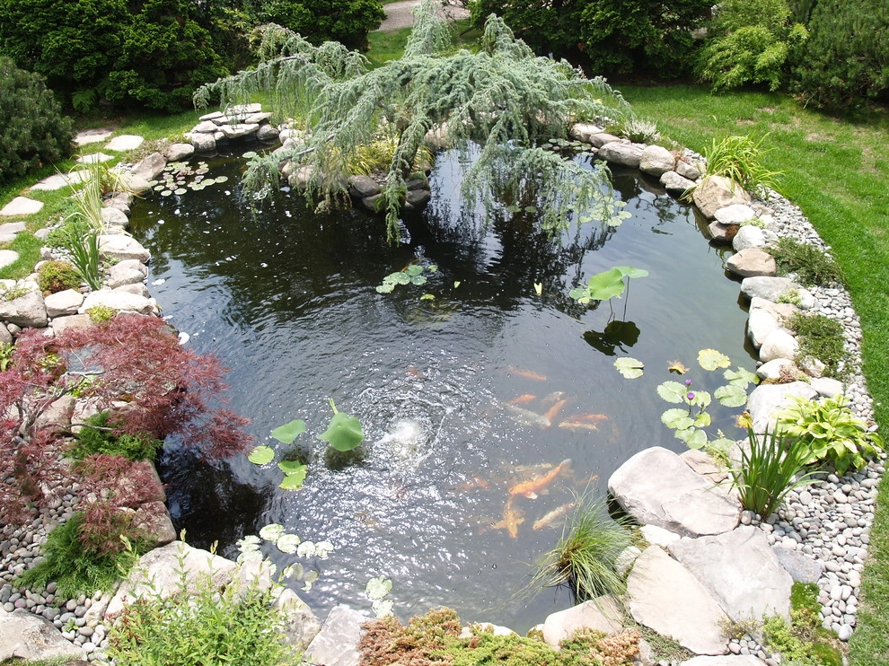 Manchester By the Sea by Koi Villa Water Garden Center - Photo 2