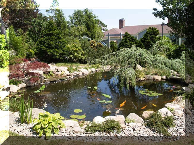 Manchester By the Sea by Koi Villa Water Garden Center - Photo 12