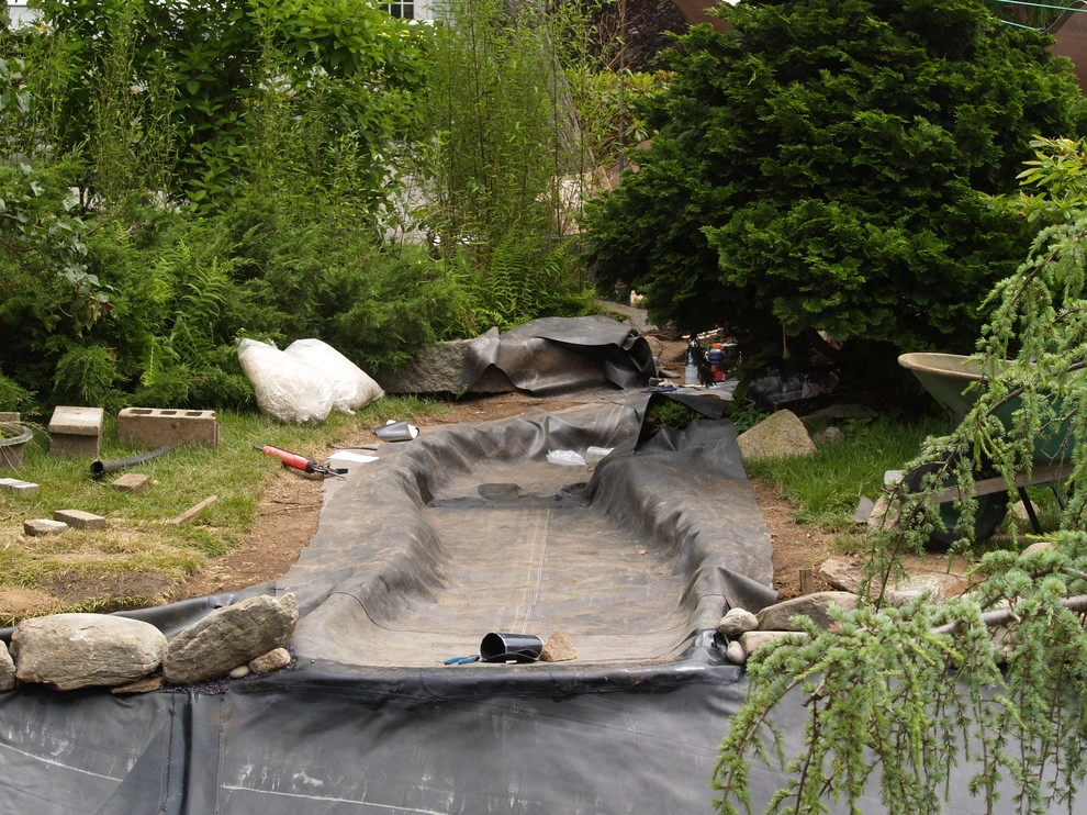 Manchester By the Sea by Koi Villa Water Garden Center - Photo 6