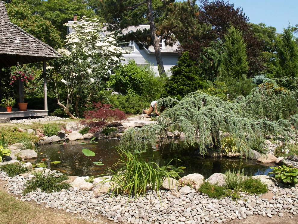 Manchester By the Sea by Koi Villa Water Garden Center - Photo 14