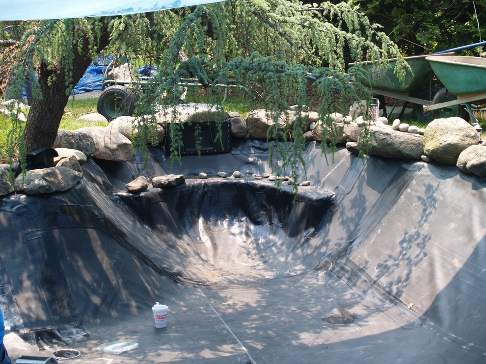 Manchester By the Sea by Koi Villa Water Garden Center - Photo 15