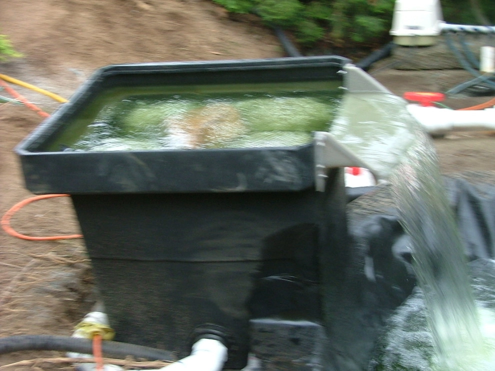 Manchester By the Sea by Koi Villa Water Garden Center - Photo 11