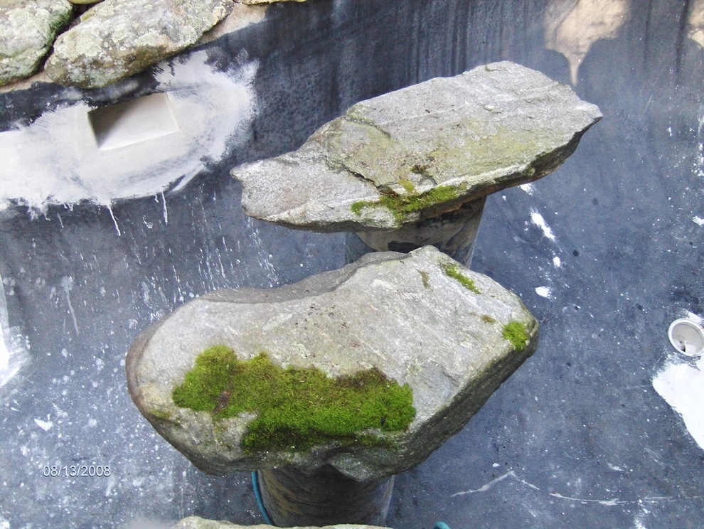 Old Cement Pond Renovated by Koi Villa Water Garden Center - Photo 5