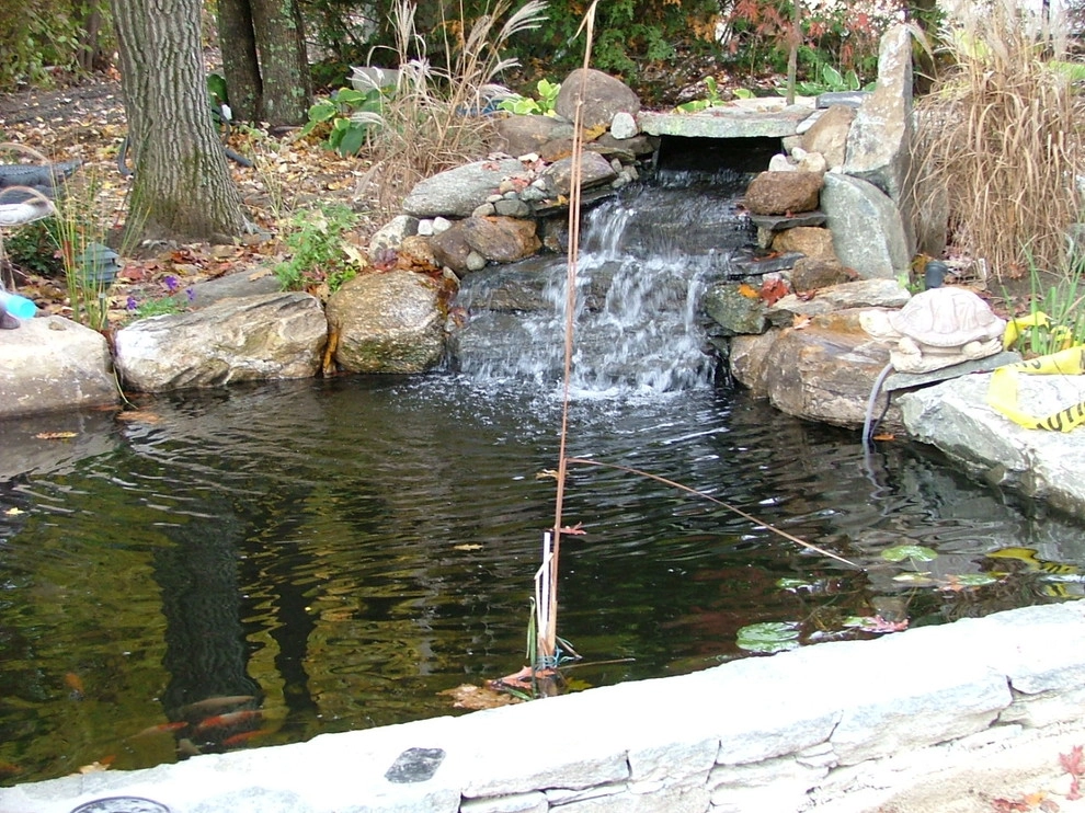 Main driveway with koi ponds on both sides . by Koi Villa Water Garden Center - Photo 29