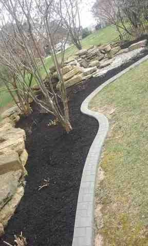 Alberto Alavez Professional Lawn Services LLC 5 by Alberto Alavez Professional Lawn Services LLC - Photo 32