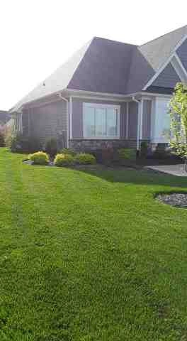 Alberto Alavez Professional Lawn Services LLC 5 by Alberto Alavez Professional Lawn Services LLC - Photo 5