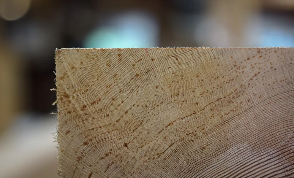 Introduction to Timber Framing by Carolina Timberworks - Photo 16