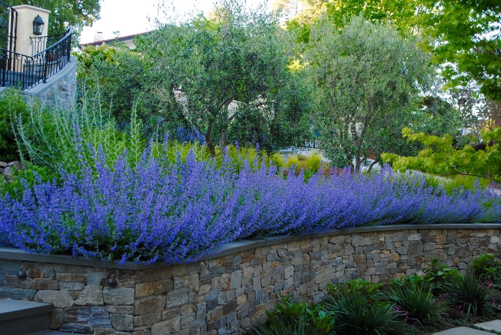 French Country Estate by Kristen Rudger Landscape Design - Photo 7