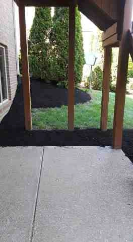 Alberto Alavez Professional Lawn Services LLC 5 by Alberto Alavez Professional Lawn Services LLC - Photo 97