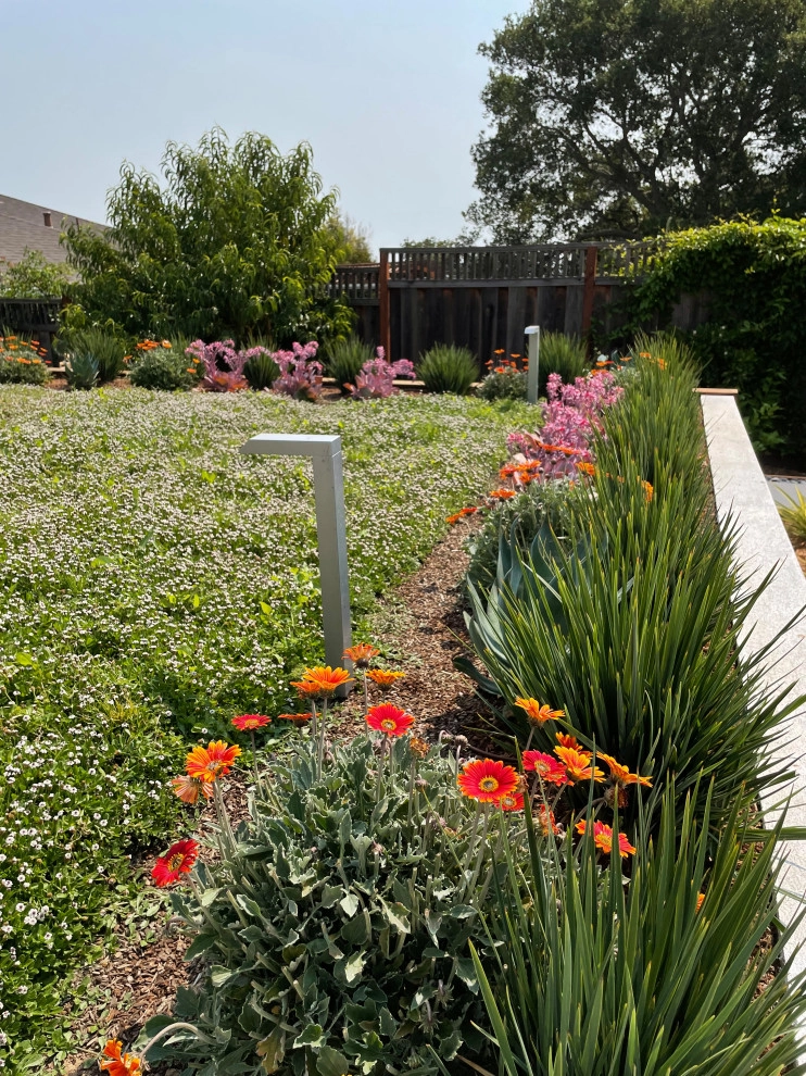 San Carlos Contemporary Patio and Kitchen by Kristen Rudger Landscape Design - Photo 6