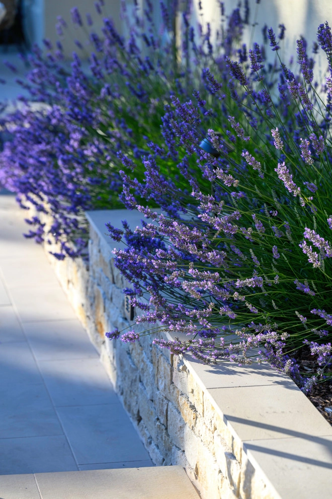 French Country Poolside by Kristen Rudger Landscape Design - Photo 12