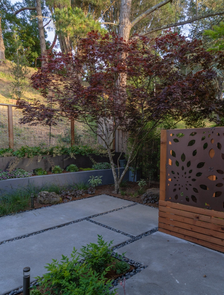 San Mateo Contemporary in a Natural Setting by Kristen Rudger Landscape Design - Photo 8