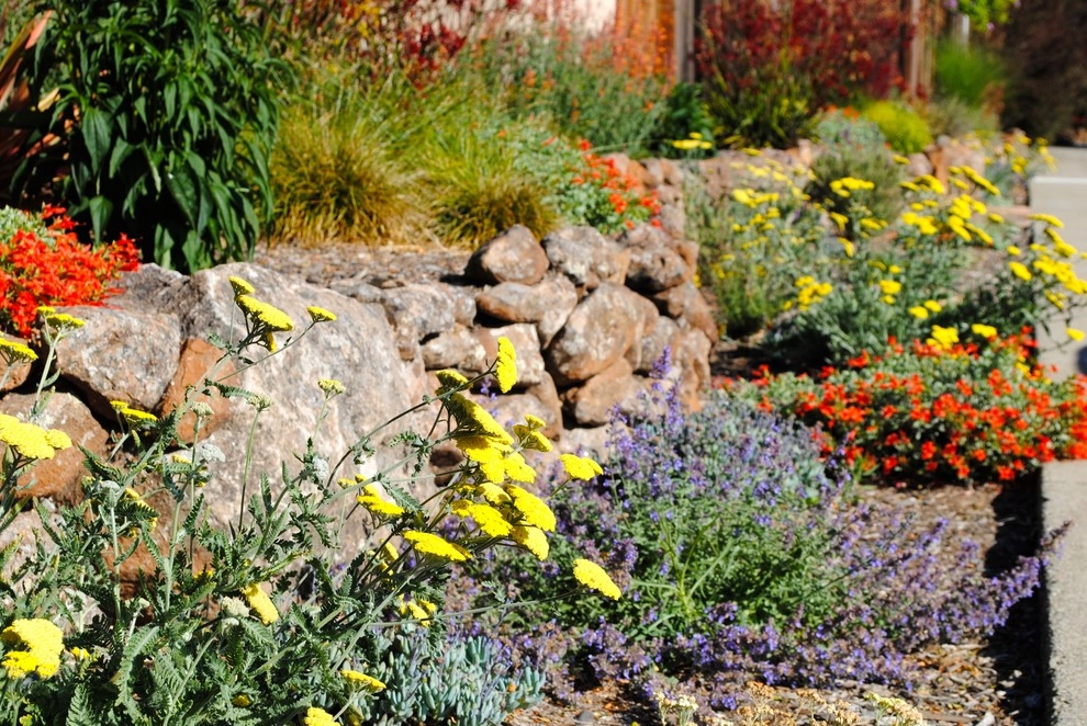 Good bye lawn, hello color! by Kristen Rudger Landscape Design - Photo 10