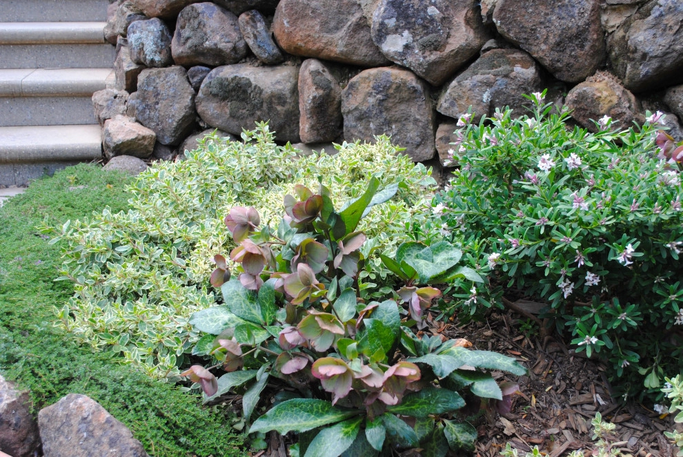 Belmont Outdoor Living by Kristen Rudger Landscape Design - Photo 7