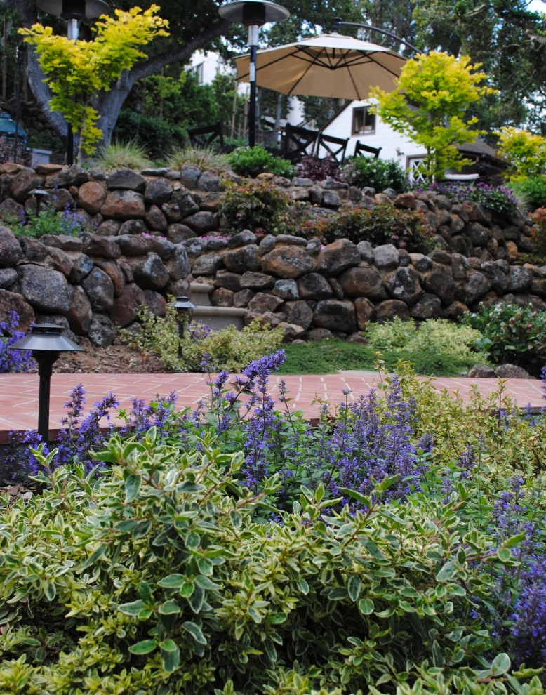 Belmont Outdoor Living by Kristen Rudger Landscape Design - Photo 3