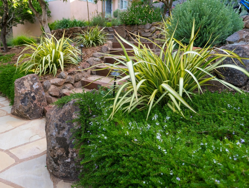 Belmont Family Fun by Kristen Rudger Landscape Design - Photo 5